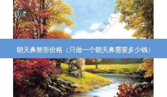 朝天鼻整形价格(只做一个朝天鼻需要多少钱)-第1张图片-美选资讯网 朝天鼻整形价格(只做一个朝天鼻需要多少钱)-第1张图片-美选资讯网