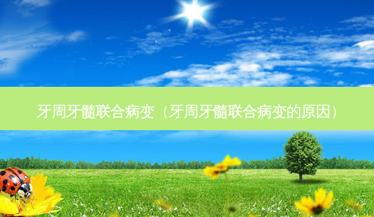 牙周牙髓联合病变(牙周牙髓联合病变的原因)-第1张图片-美选资讯网 牙周牙髓联合病变(牙周牙髓联合病变的原因)-第1张图片-美选资讯网