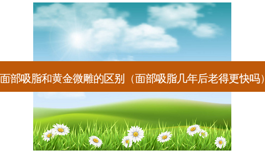 面部吸脂和黄金微雕的区别(面部吸脂几年后老得更快吗)-第1张图片-美选资讯网 面部吸脂和黄金微雕的区别(面部吸脂几年后老得更快吗)-第1张图片-美选资讯网