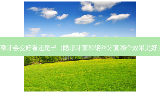 整牙会变好看还是丑(隐形牙套和钢丝牙套哪个效果更好)-第1张图片-美选资讯网 整牙会变好看还是丑(隐形牙套和钢丝牙套哪个效果更好)-第1张图片-美选资讯网