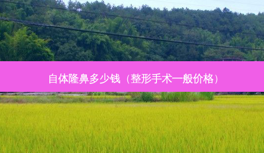 自体隆鼻多少钱(整形手术一般价格)-第1张图片-美选资讯网 自体隆鼻多少钱(整形手术一般价格)-第1张图片-美选资讯网