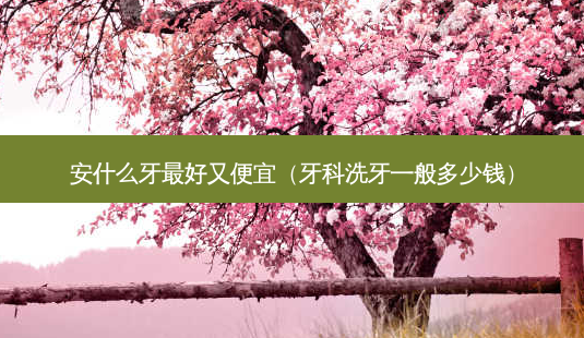 安什么牙好又便宜(牙科洗牙一般多少钱)-第1张图片-美选资讯网 安什么牙好又便宜(牙科洗牙一般多少钱)-第1张图片-美选资讯网
