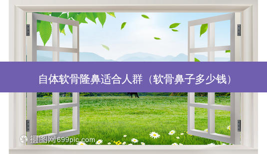自体软骨隆鼻适合人群(软骨鼻子多少钱)-第1张图片-美选资讯网 自体软骨隆鼻适合人群(软骨鼻子多少钱)-第1张图片-美选资讯网