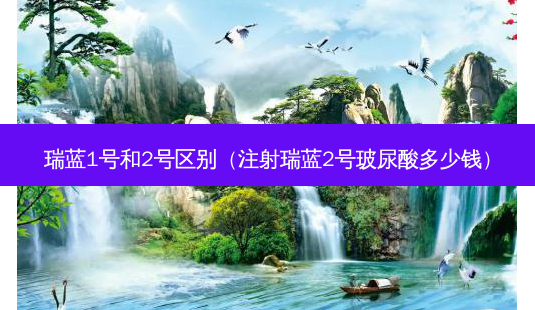 瑞蓝1号和2号区别(注射瑞蓝2号玻尿酸多少钱)-第1张图片-美选资讯网 瑞蓝1号和2号区别(注射瑞蓝2号玻尿酸多少钱)-第1张图片-美选资讯网