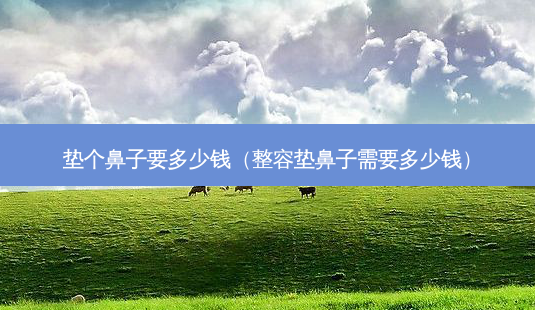 垫个鼻子要多少钱(整容垫鼻子需要多少钱)-第1张图片-美选资讯网 垫个鼻子要多少钱(整容垫鼻子需要多少钱)-第1张图片-美选资讯网