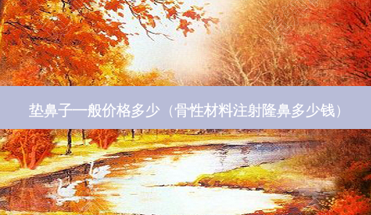 垫鼻子一般价格多少(骨性材料注射隆鼻多少钱)-第1张图片-美选资讯网 垫鼻子一般价格多少(骨性材料注射隆鼻多少钱)-第1张图片-美选资讯网