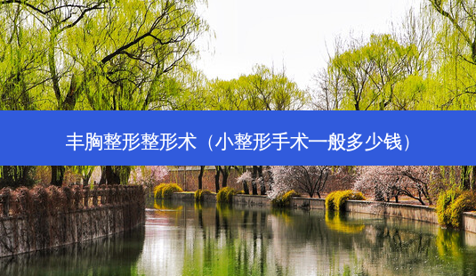 丰胸整形整形术(小整形手术一般多少钱)-第1张图片-美选资讯网 丰胸整形整形术(小整形手术一般多少钱)-第1张图片-美选资讯网