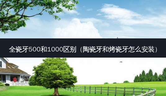 全瓷牙500和1000区别(陶瓷牙和烤瓷牙怎么安装)-第1张图片-美选资讯网 全瓷牙500和1000区别(陶瓷牙和烤瓷牙怎么安装)-第1张图片-美选资讯网