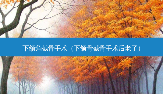 下颌角截骨手术(下颌骨截骨手术后老了)-第1张图片-美选资讯网 下颌角截骨手术(下颌骨截骨手术后老了)-第1张图片-美选资讯网