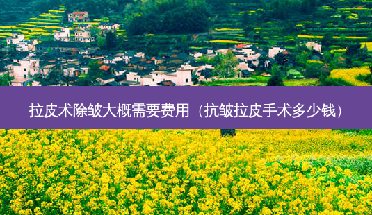 拉皮术除皱大概需要费用(抗皱拉皮手术多少钱)-第1张图片-美选资讯网 拉皮术除皱大概需要费用(抗皱拉皮手术多少钱)-第1张图片-美选资讯网