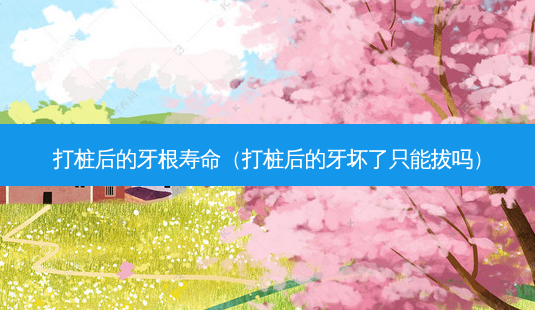 打桩后的牙根寿命(打桩后的牙坏了只能拔吗)-第1张图片-美选资讯网 打桩后的牙根寿命(打桩后的牙坏了只能拔吗)-第1张图片-美选资讯网