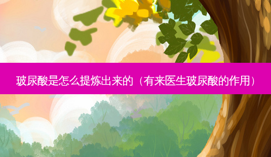 玻尿酸是怎么提炼出来的(有来医生玻尿酸的作用)-第1张图片-美选资讯网 玻尿酸是怎么提炼出来的(有来医生玻尿酸的作用)-第1张图片-美选资讯网