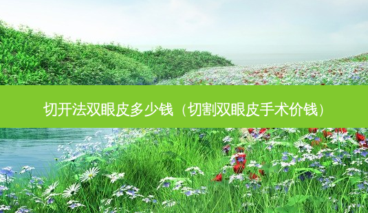 切开法双眼皮多少钱(切割双眼皮手术价钱)-第1张图片-美选资讯网 切开法双眼皮多少钱(切割双眼皮手术价钱)-第1张图片-美选资讯网