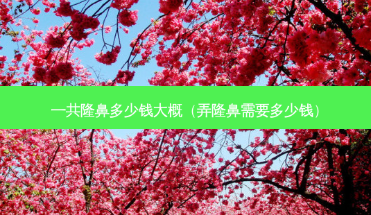 一共隆鼻多少钱大概(弄隆鼻需要多少钱)-第1张图片-美选资讯网 一共隆鼻多少钱大概(弄隆鼻需要多少钱)-第1张图片-美选资讯网