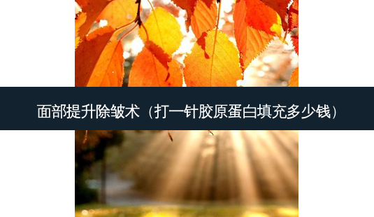 面部提升除皱术(打一针胶原蛋白填充多少钱)-第1张图片-美选资讯网 面部提升除皱术(打一针胶原蛋白填充多少钱)-第1张图片-美选资讯网