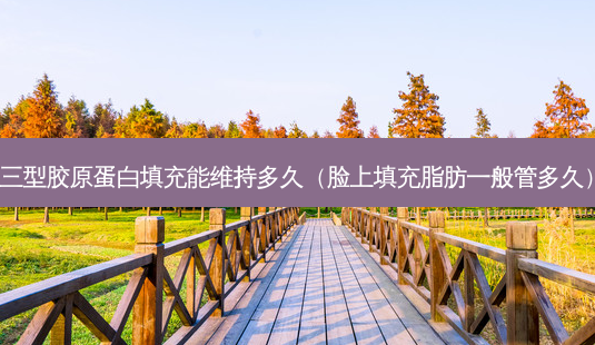 三型胶原蛋白填充能维持多久(脸上填充脂肪一般管多久)-第1张图片-美选资讯网 三型胶原蛋白填充能维持多久(脸上填充脂肪一般管多久)-第1张图片-美选资讯网