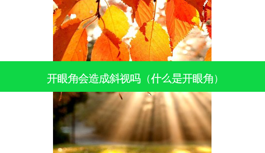 开眼角会造成斜视吗(什么是开眼角)-第1张图片-美选资讯网 开眼角会造成斜视吗(什么是开眼角)-第1张图片-美选资讯网