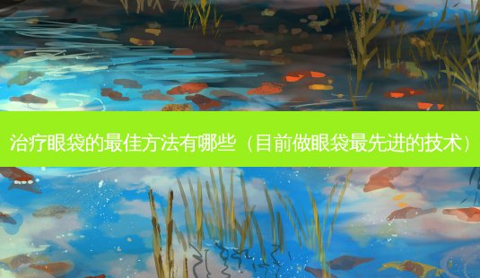 眼袋的佳 *** 有哪些(目前做眼袋先进的技术)-第1张图片-美选资讯网 眼袋的佳 *** 有哪些(目前做眼袋先进的技术)-第1张图片-美选资讯网