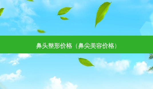 鼻头整形价格(鼻尖美容价格)-第1张图片-美选资讯网 鼻头整形价格(鼻尖美容价格)-第1张图片-美选资讯网