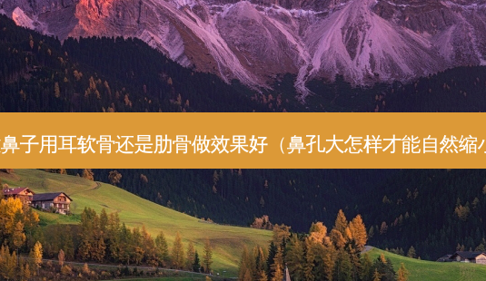 做鼻子用耳软骨还是肋骨做效果好(鼻孔大怎样才能自然缩小)-第1张图片-美选资讯网 做鼻子用耳软骨还是肋骨做效果好(鼻孔大怎样才能自然缩小)-第1张图片-美选资讯网