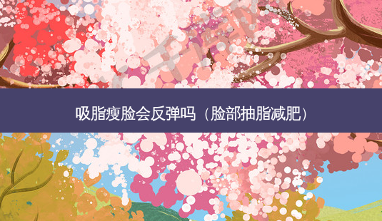 吸脂瘦脸会反弹吗(脸部抽脂减肥)-第1张图片-美选资讯网 吸脂瘦脸会反弹吗(脸部抽脂减肥)-第1张图片-美选资讯网
