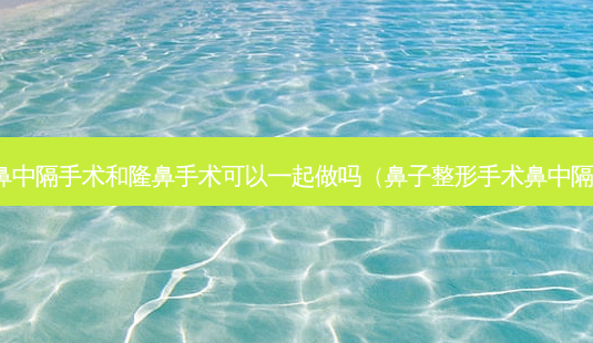 鼻中隔手术和隆鼻手术可以一起做吗(鼻子整形手术鼻中隔)-第1张图片-美选资讯网 鼻中隔手术和隆鼻手术可以一起做吗(鼻子整形手术鼻中隔)-第1张图片-美选资讯网