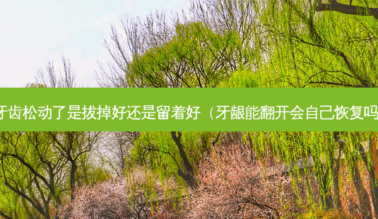 牙齿松动了是拔掉好还是留着好(牙龈能翻开会自己恢复吗)-第1张图片-美选资讯网 牙齿松动了是拔掉好还是留着好(牙龈能翻开会自己恢复吗)-第1张图片-美选资讯网