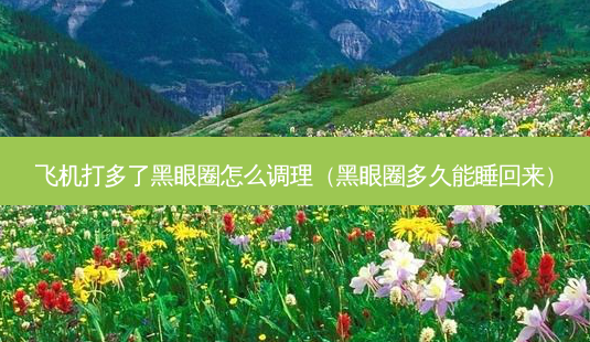 飞机打多了黑眼圈怎么调理(黑眼圈多久能睡回来)-第1张图片-美选资讯网 飞机打多了黑眼圈怎么调理(黑眼圈多久能睡回来)-第1张图片-美选资讯网