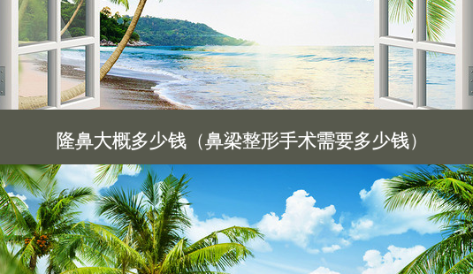 隆鼻大概多少钱(鼻梁整形手术需要多少钱)-第1张图片-美选资讯网 隆鼻大概多少钱(鼻梁整形手术需要多少钱)-第1张图片-美选资讯网