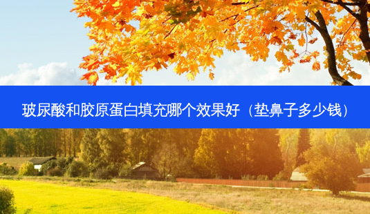 玻尿酸和胶原蛋白填充哪个效果好(垫鼻子多少钱)-第1张图片-美选资讯网 玻尿酸和胶原蛋白填充哪个效果好(垫鼻子多少钱)-第1张图片-美选资讯网