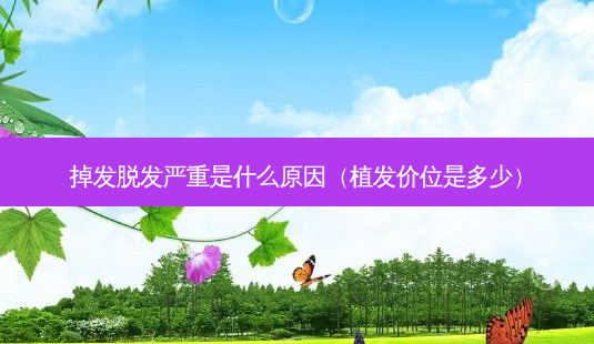 掉发脱发严重是什么原因(植发价位是多少)-第1张图片-美选资讯网 掉发脱发严重是什么原因(植发价位是多少)-第1张图片-美选资讯网