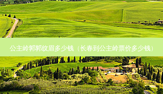 公主岭郭郭纹眉多少钱(长春到公主岭票价多少钱)-第1张图片-美选资讯网 公主岭郭郭纹眉多少钱(长春到公主岭票价多少钱)-第1张图片-美选资讯网
