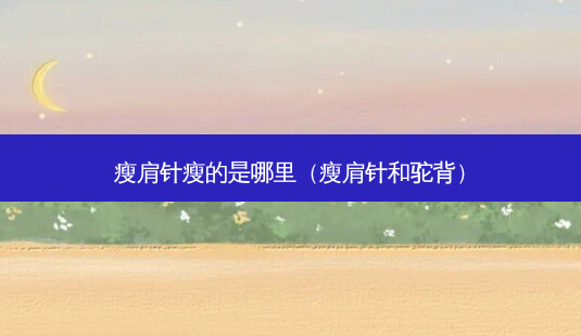 瘦肩针瘦的是哪里(瘦肩针和驼背)-第1张图片-美选资讯网 瘦肩针瘦的是哪里(瘦肩针和驼背)-第1张图片-美选资讯网