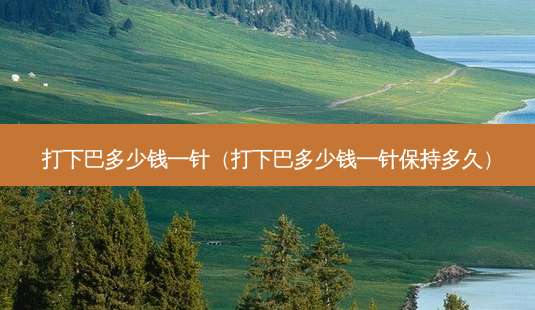打下巴多少钱一针(打下巴多少钱一针保持多久)-第1张图片-美选资讯网 打下巴多少钱一针(打下巴多少钱一针保持多久)-第1张图片-美选资讯网