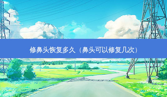 修鼻头恢复多久(鼻头可以修复几次)-第1张图片-美选资讯网 修鼻头恢复多久(鼻头可以修复几次)-第1张图片-美选资讯网