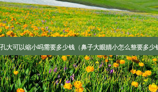 鼻孔大可以缩小吗需要多少钱(鼻子大眼睛小怎么整要多少钱)-第1张图片-美选资讯网 鼻孔大可以缩小吗需要多少钱(鼻子大眼睛小怎么整要多少钱)-第1张图片-美选资讯网