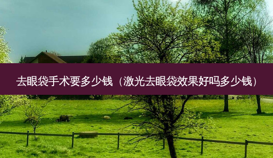 去眼袋手术要多少钱(激光去眼袋效果好吗多少钱)-第1张图片-美选资讯网 去眼袋手术要多少钱(激光去眼袋效果好吗多少钱)-第1张图片-美选资讯网