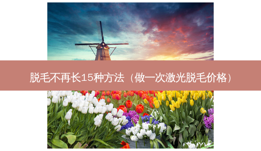 脱毛不再长15种 *** (做一次激光脱毛价格)-第1张图片-美选资讯网 脱毛不再长15种 *** (做一次激光脱毛价格)-第1张图片-美选资讯网