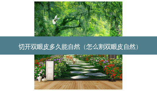切开双眼皮多久能自然(怎么割双眼皮自然)-第1张图片-美选资讯网 切开双眼皮多久能自然(怎么割双眼皮自然)-第1张图片-美选资讯网