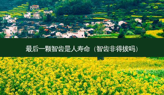 后一颗智齿是人寿命(智齿非得拔吗)-第1张图片-美选资讯网 后一颗智齿是人寿命(智齿非得拔吗)-第1张图片-美选资讯网