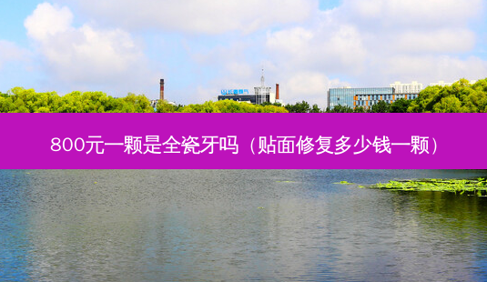 800元一颗是全瓷牙吗(贴面修复多少钱一颗)-第1张图片-美选资讯网 800元一颗是全瓷牙吗(贴面修复多少钱一颗)-第1张图片-美选资讯网