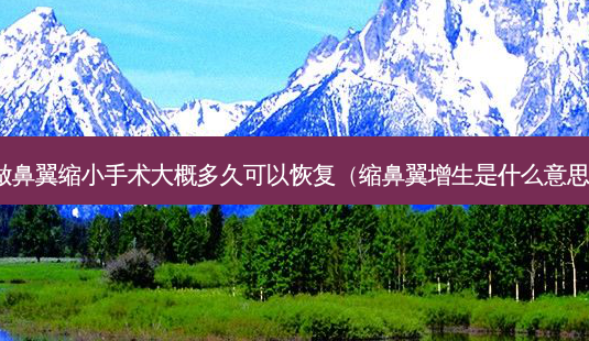 做鼻翼缩小手术大概多久可以恢复(缩鼻翼增生是什么意思)-第1张图片-美选资讯网 做鼻翼缩小手术大概多久可以恢复(缩鼻翼增生是什么意思)-第1张图片-美选资讯网