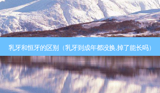 乳牙和恒牙的区别(乳牙到成年都没换,掉了能长吗)-第1张图片-美选资讯网 乳牙和恒牙的区别(乳牙到成年都没换,掉了能长吗)-第1张图片-美选资讯网