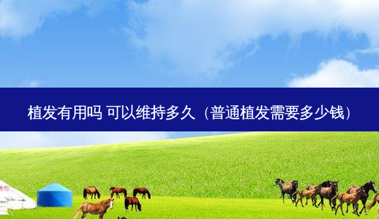 植发有用吗 可以维持多久(普通植发需要多少钱)-第1张图片-美选资讯网 植发有用吗 可以维持多久(普通植发需要多少钱)-第1张图片-美选资讯网