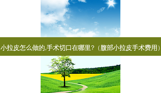小拉皮怎么做的,手术切口在哪里?(腹部小拉皮手术费用)-第1张图片-美选资讯网 小拉皮怎么做的,手术切口在哪里?(腹部小拉皮手术费用)-第1张图片-美选资讯网