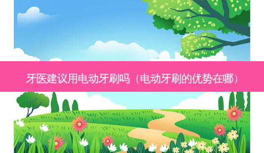 牙医建议用电动牙刷吗(电动牙刷的优势在哪)-第1张图片-美选资讯网 牙医建议用电动牙刷吗(电动牙刷的优势在哪)-第1张图片-美选资讯网