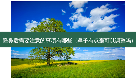隆鼻后需要注意的事项有哪些(鼻子有点歪可以调整吗)-第1张图片-美选资讯网 隆鼻后需要注意的事项有哪些(鼻子有点歪可以调整吗)-第1张图片-美选资讯网
