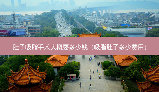 肚子吸脂手术大概要多少钱(吸脂肚子多少费用)-第1张图片-美选资讯网 肚子吸脂手术大概要多少钱(吸脂肚子多少费用)-第1张图片-美选资讯网