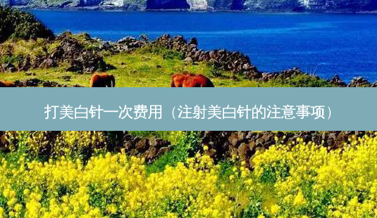 打美白针一次费用（注射美白针的注意事项）-第1张图片-美选资讯网