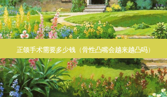 正颌手术需要多少钱(骨性凸嘴会越来越凸吗)-第1张图片-美选资讯网 正颌手术需要多少钱(骨性凸嘴会越来越凸吗)-第1张图片-美选资讯网